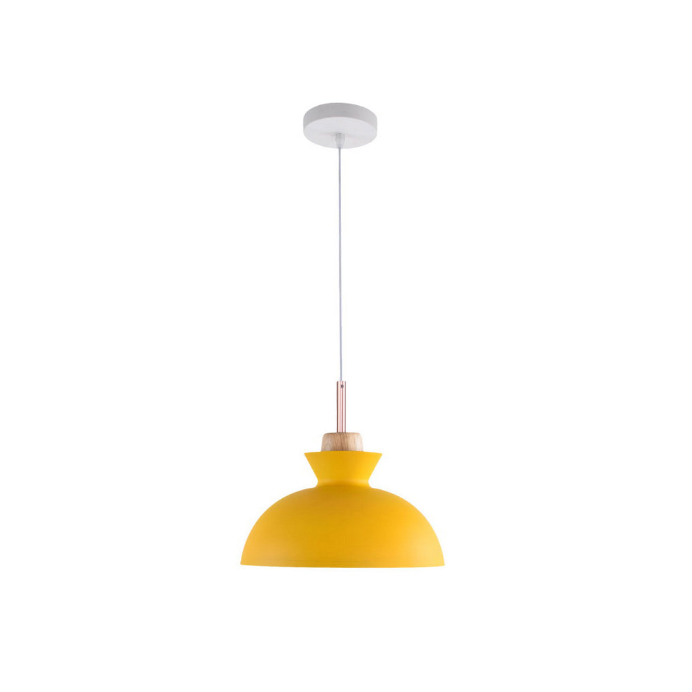 Viggo Metal & Wood Dome Pendant Light