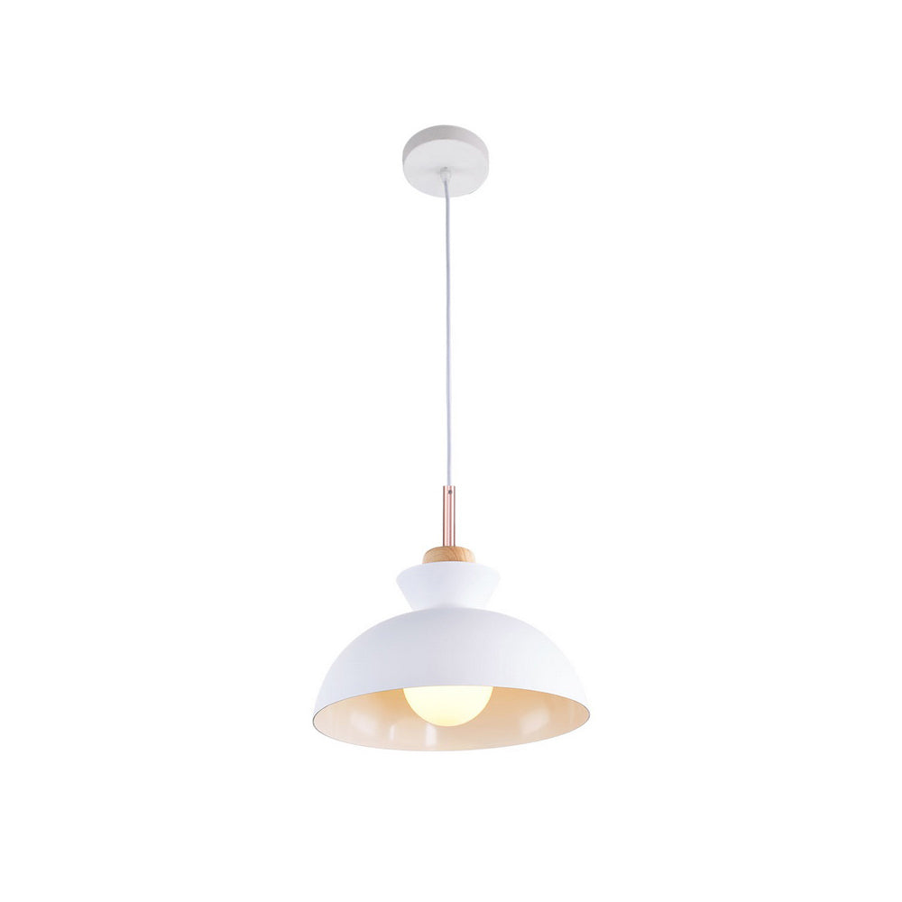 Viggo Metal & Wood Dome Pendant Light