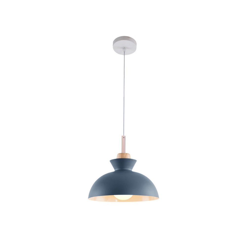Viggo Metal & Wood Dome Pendant Light
