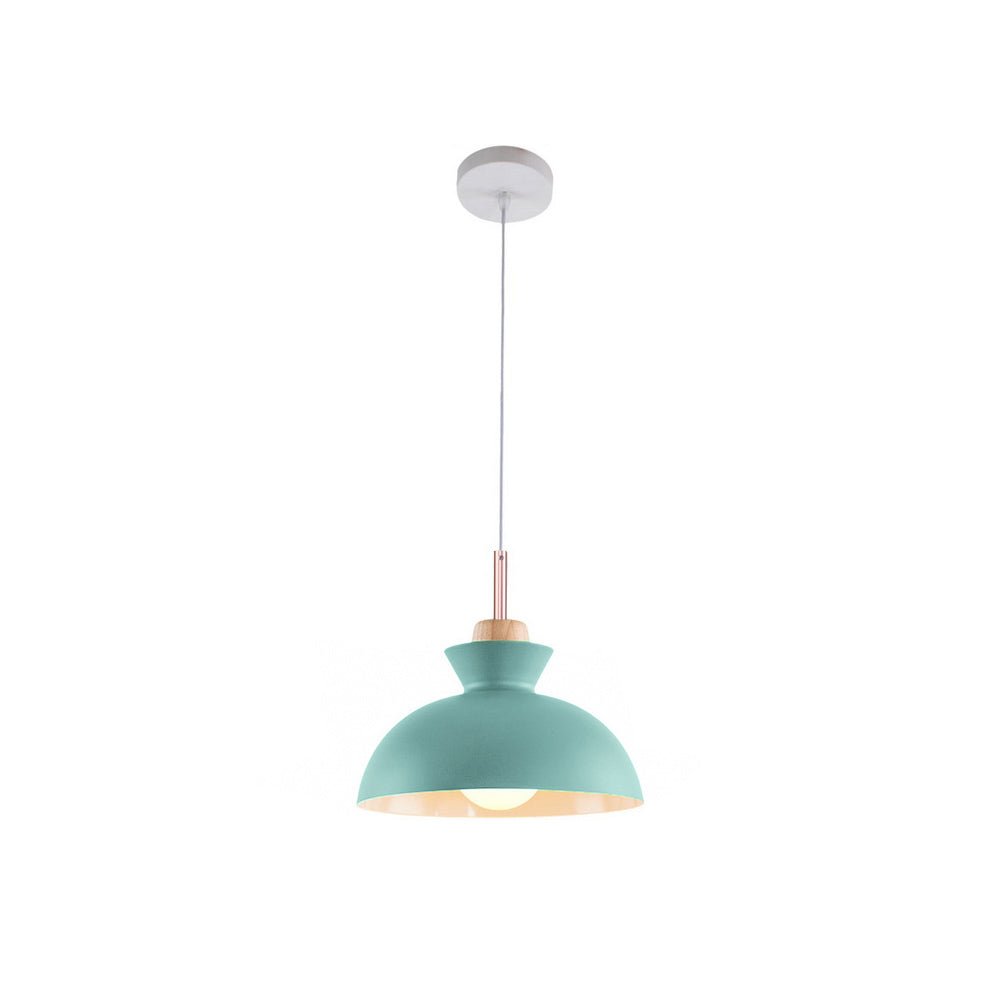 Viggo Metal & Wood Dome Pendant Light