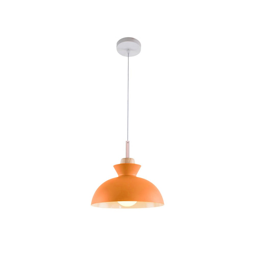 Viggo Metal & Wood Dome Pendant Light