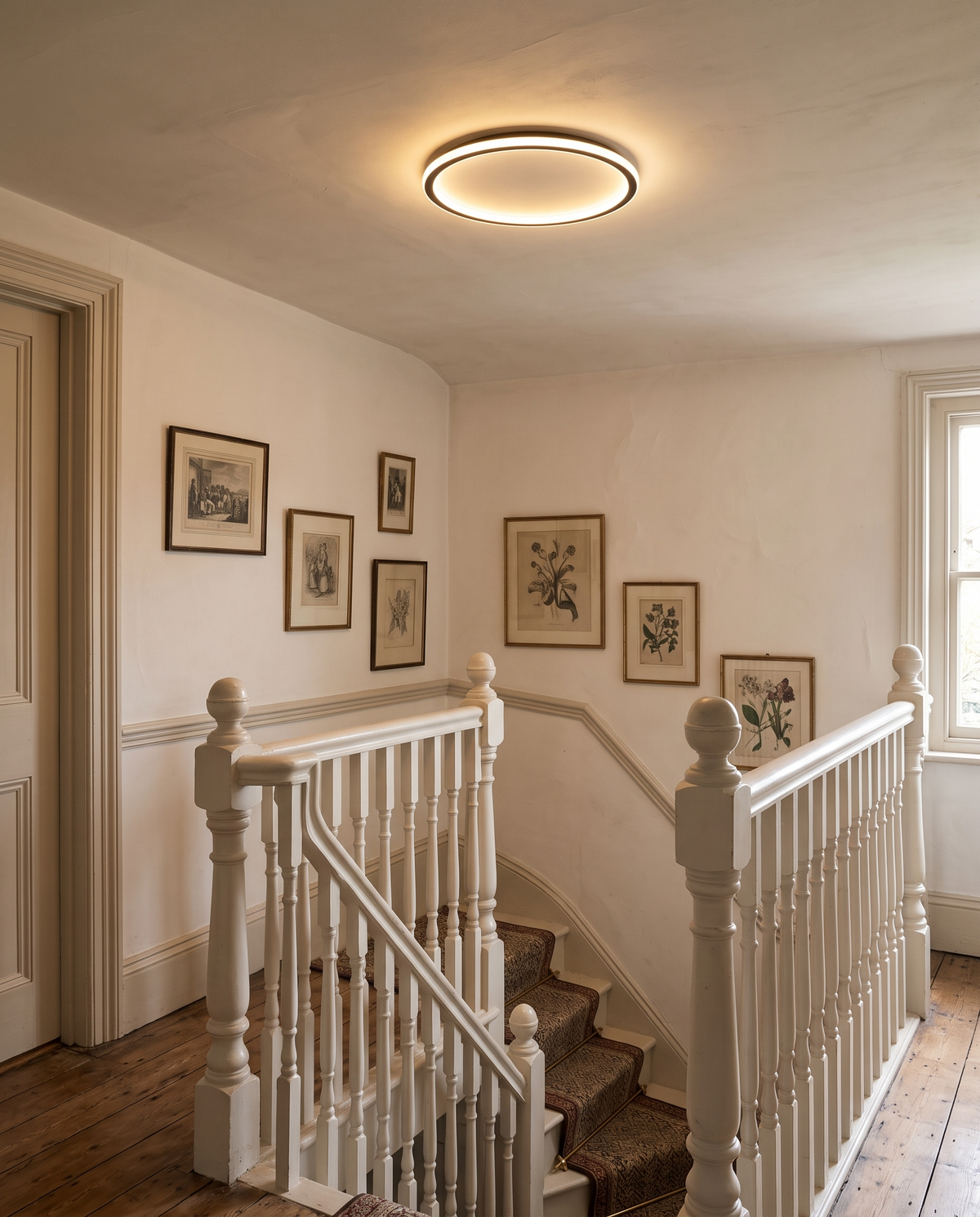 The Hoop Ceiling Light