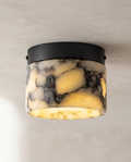 The Sable Ceiling Light